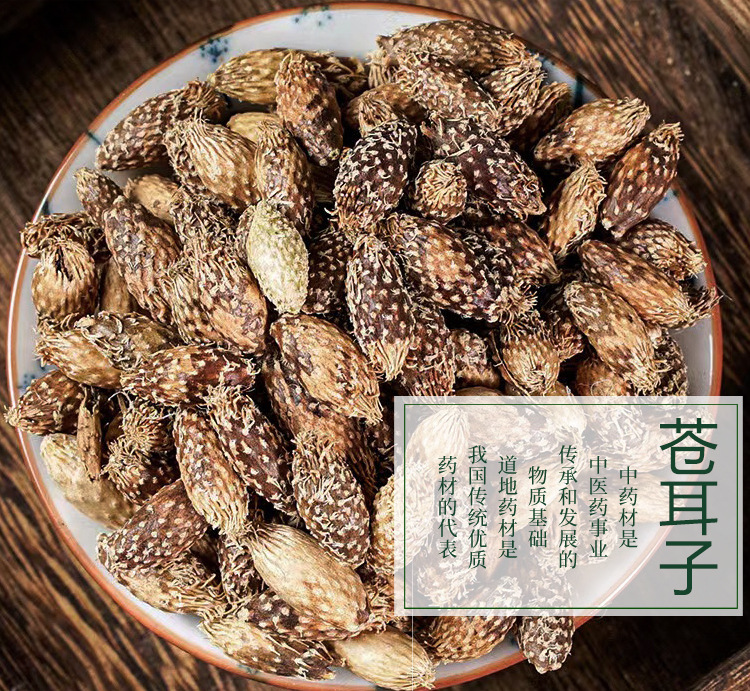 蒼耳子與去刺蒼耳 初級農產品的傳統(tǒng)價值與應用
