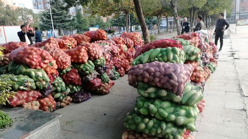 小蘿卜，大愛心 阜南教育助力濛洼地區(qū)貧困戶農產品銷售