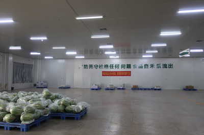 龍頭企業(yè)引領，搭乘“廣西好嘢”快車——平南縣農產品物流發(fā)展駛入快車道