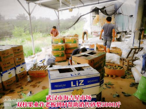 線上線下齊發(fā)力，石橋驛鎮(zhèn)為滯銷農(nóng)產(chǎn)品打開新銷路