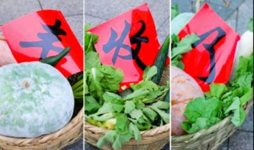 江陵沃野慶豐收 2023年中國農(nóng)民豐收節(jié)暨農(nóng)產(chǎn)品展銷會(huì)圓滿舉行