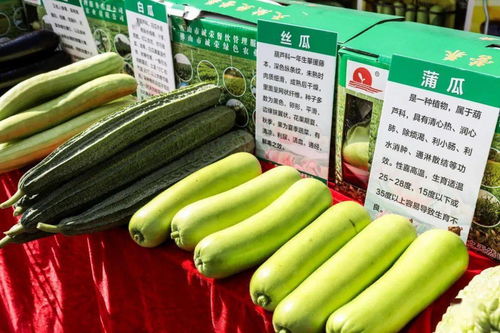秋分時(shí)節(jié)慶豐收，佛山人的田園歡歌
