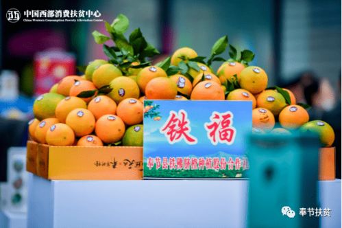 聚力消費(fèi)扶貧高地，答好疫情加試題——重慶奉節(jié)初級(jí)農(nóng)產(chǎn)品突圍紀(jì)實(shí)