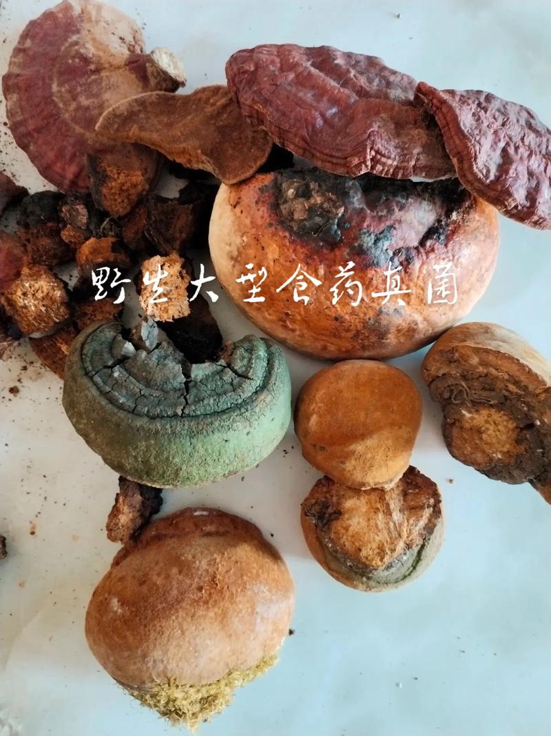 綠森林初級農產品 在抖音里記錄每一份自然的美好